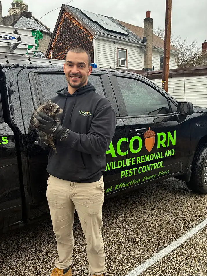 What's Living in Your Attic? Sounds, Signs, and How We Get It Out