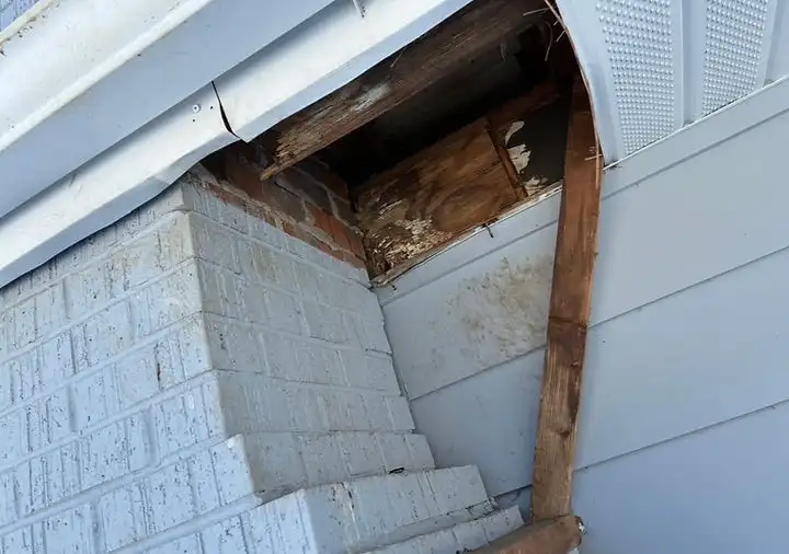 A torn soffit entry point above a snowy roofline